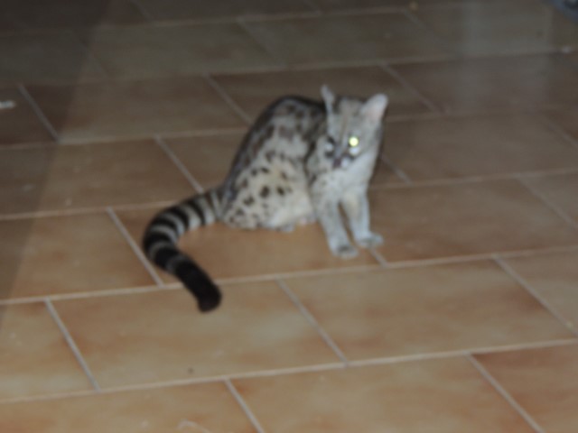 25 10 2014 007 Small