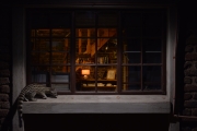 gent on window 180x120