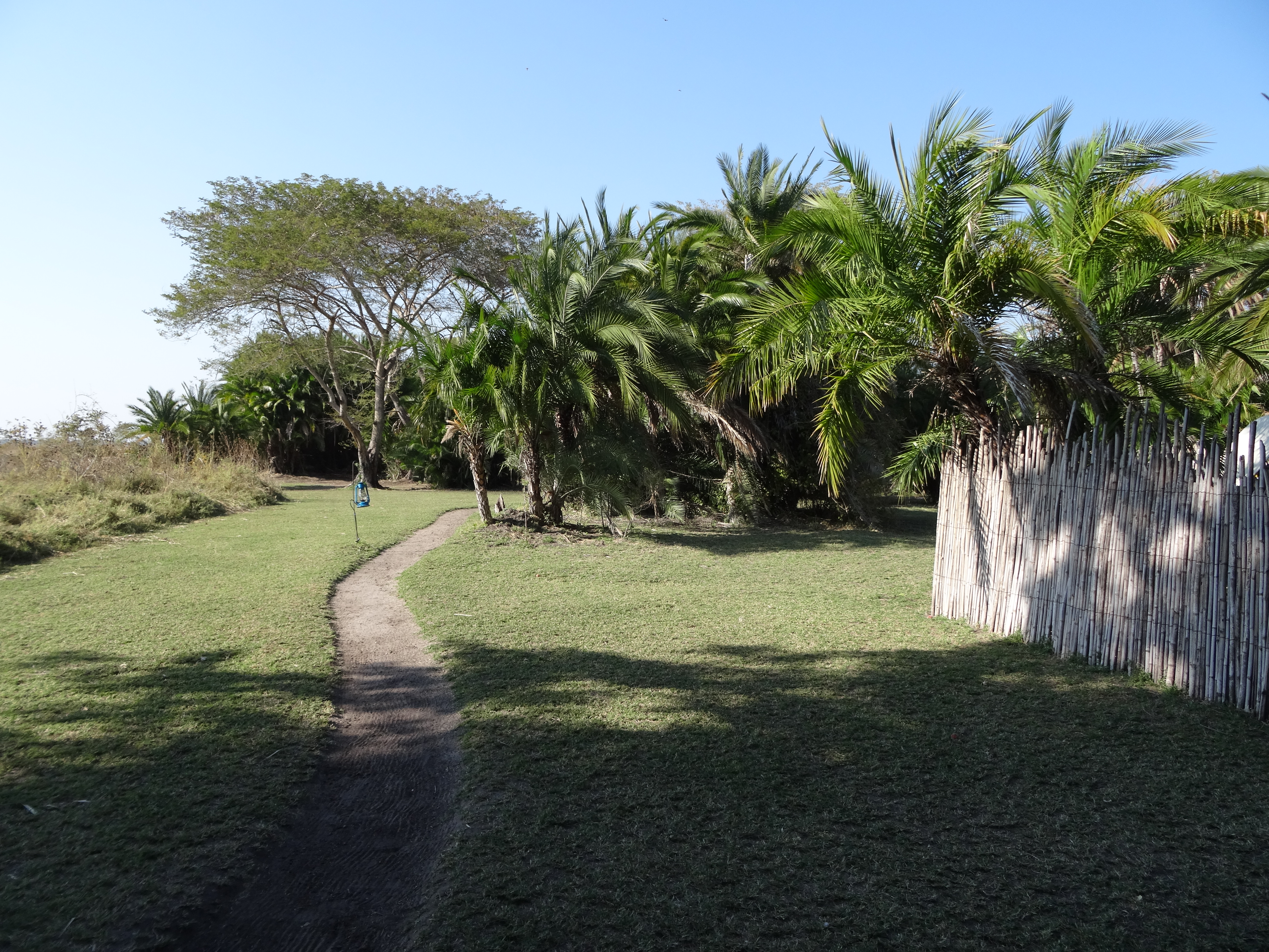 DSC00390.JPG