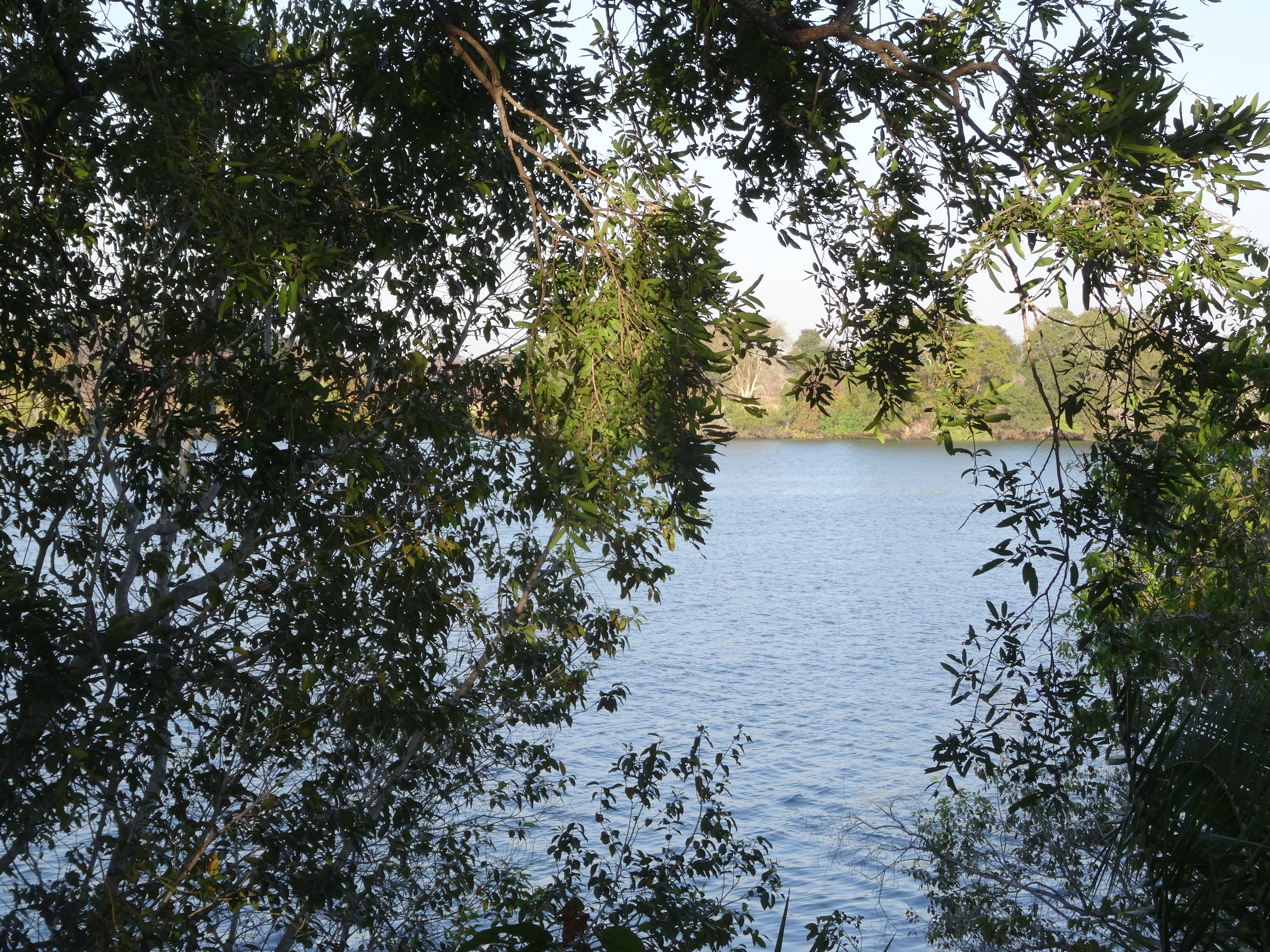 DSC00408.JPG