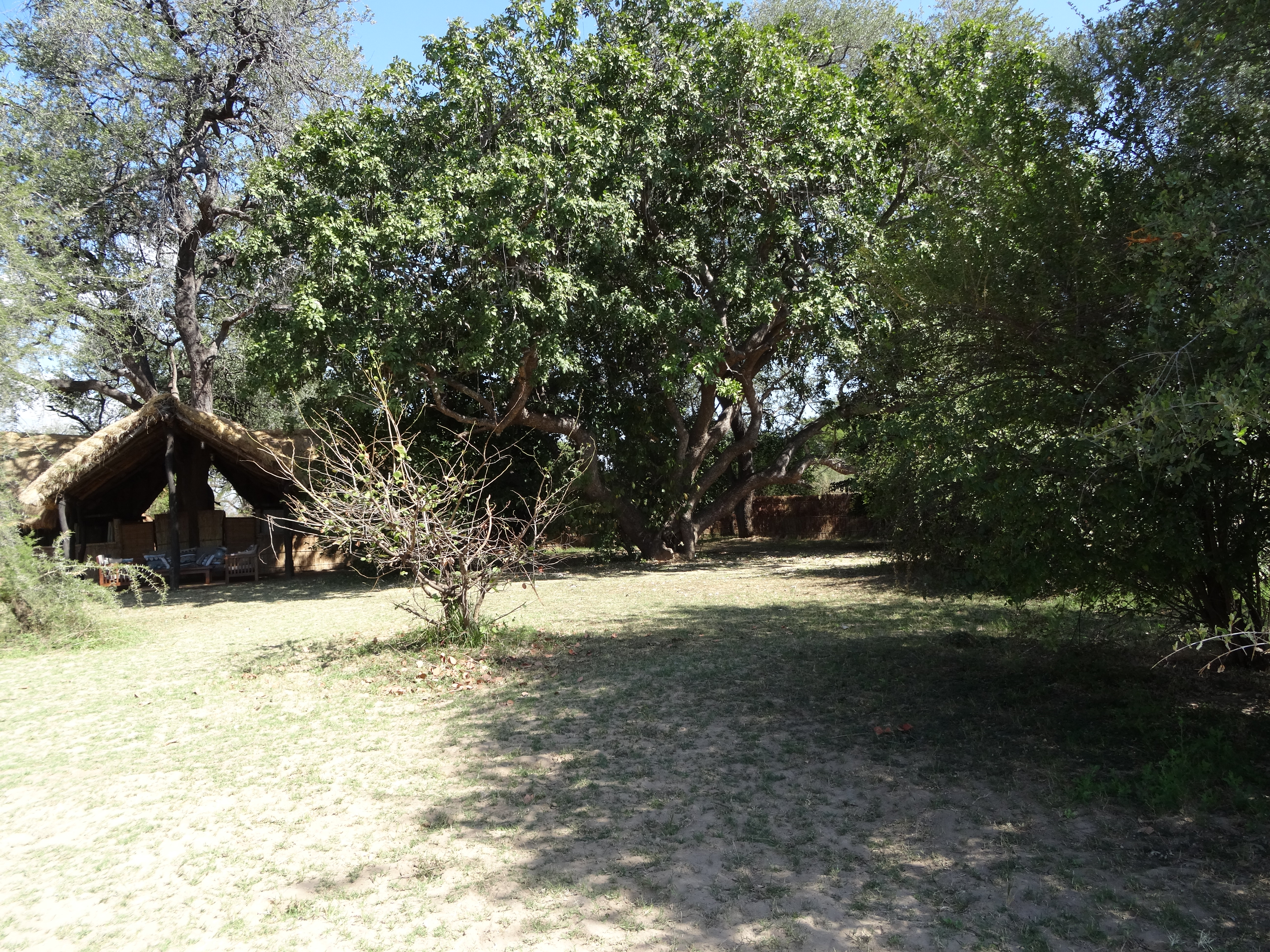 DSC00418.JPG