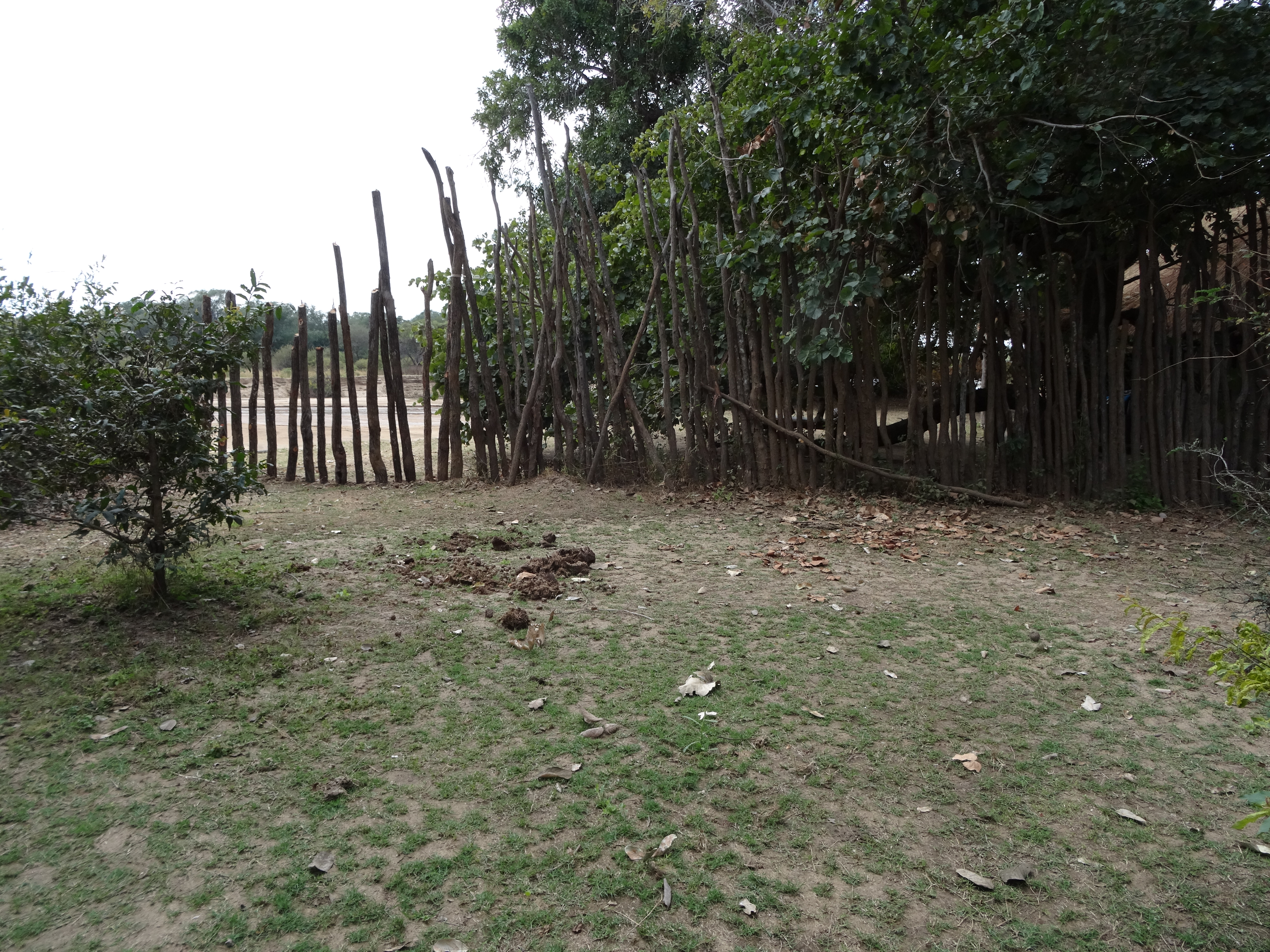 DSC00451.JPG