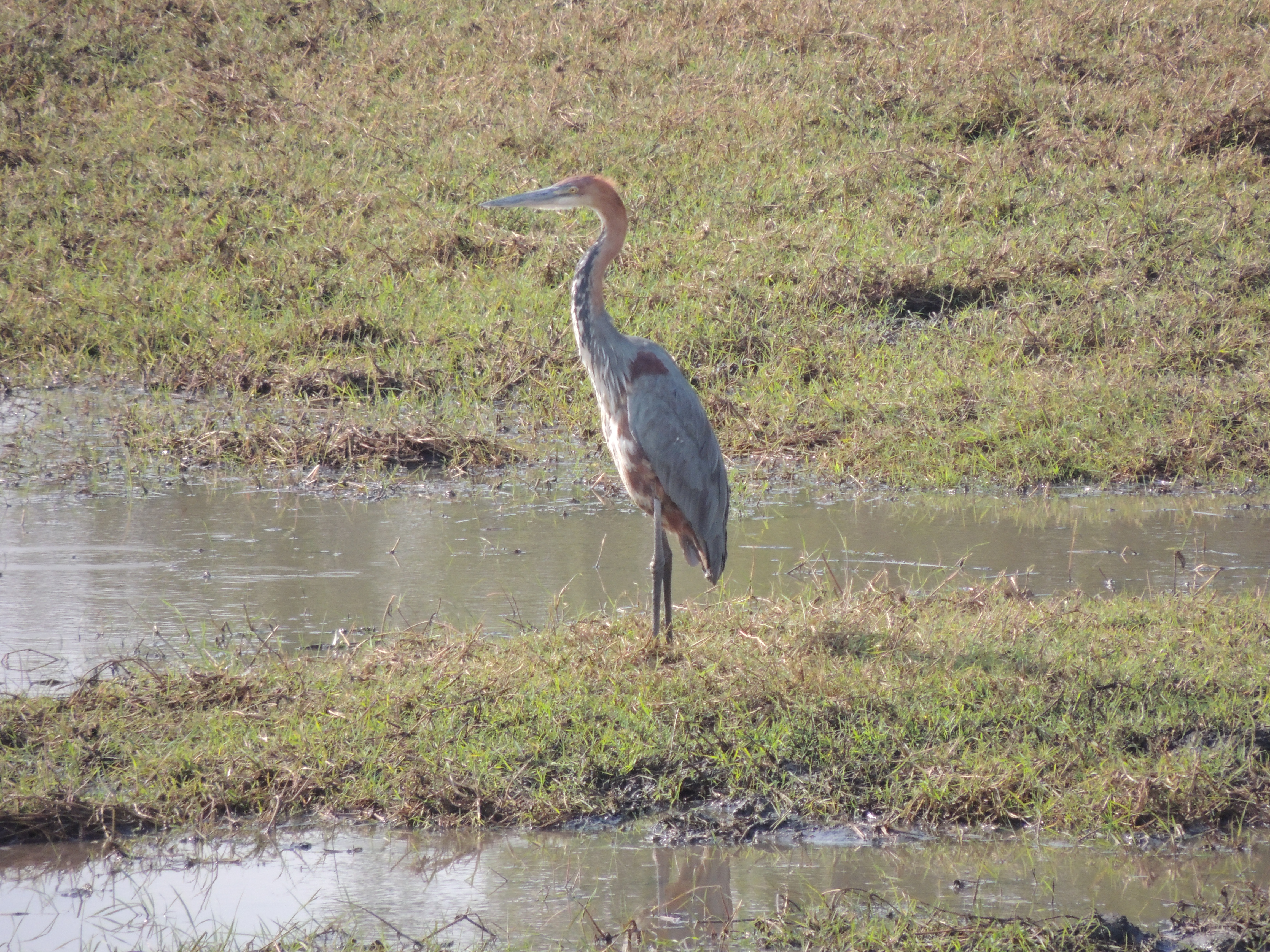DSCN3195.JPG