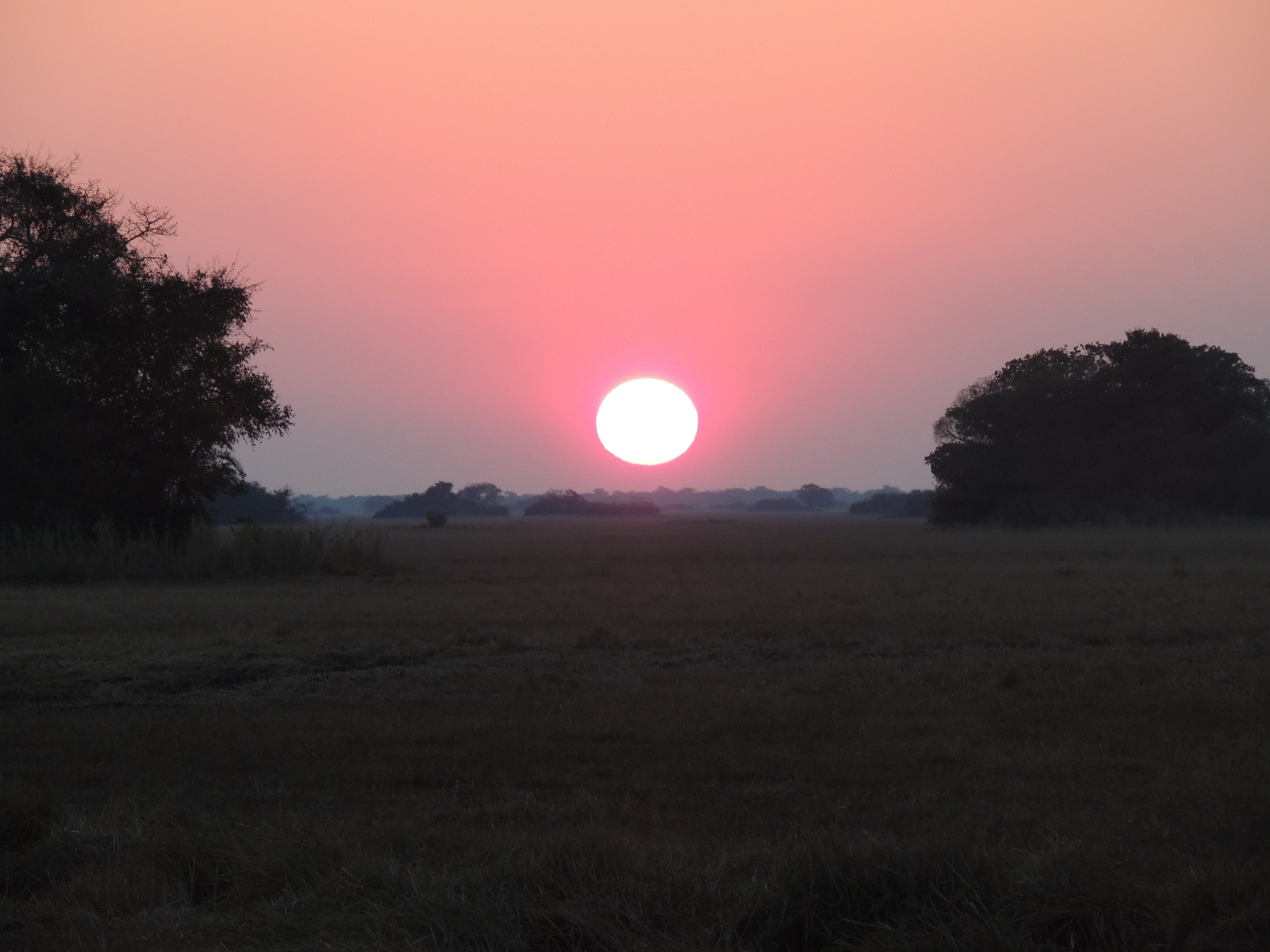 DSCN3237.JPG