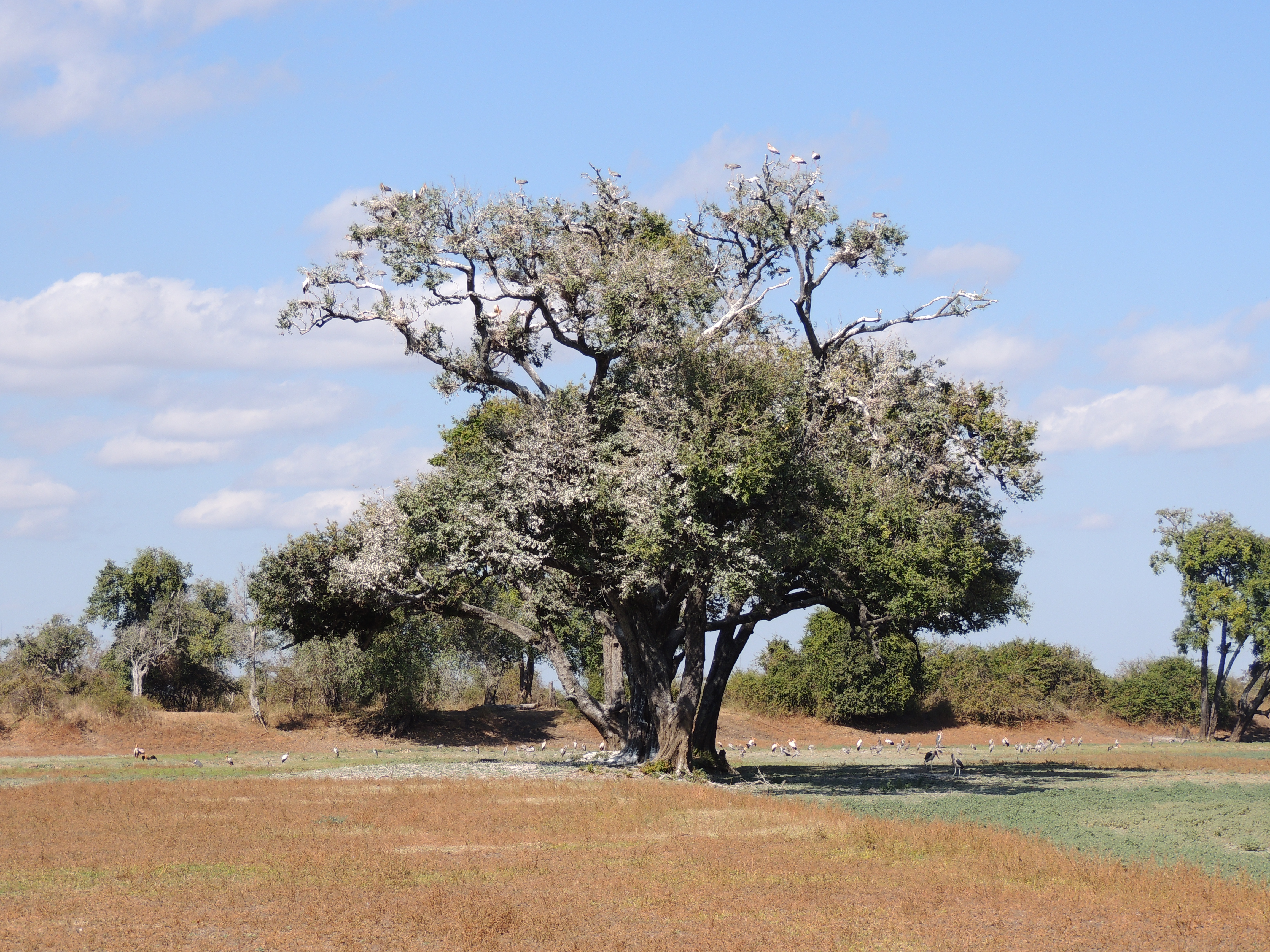 DSCN3260.JPG
