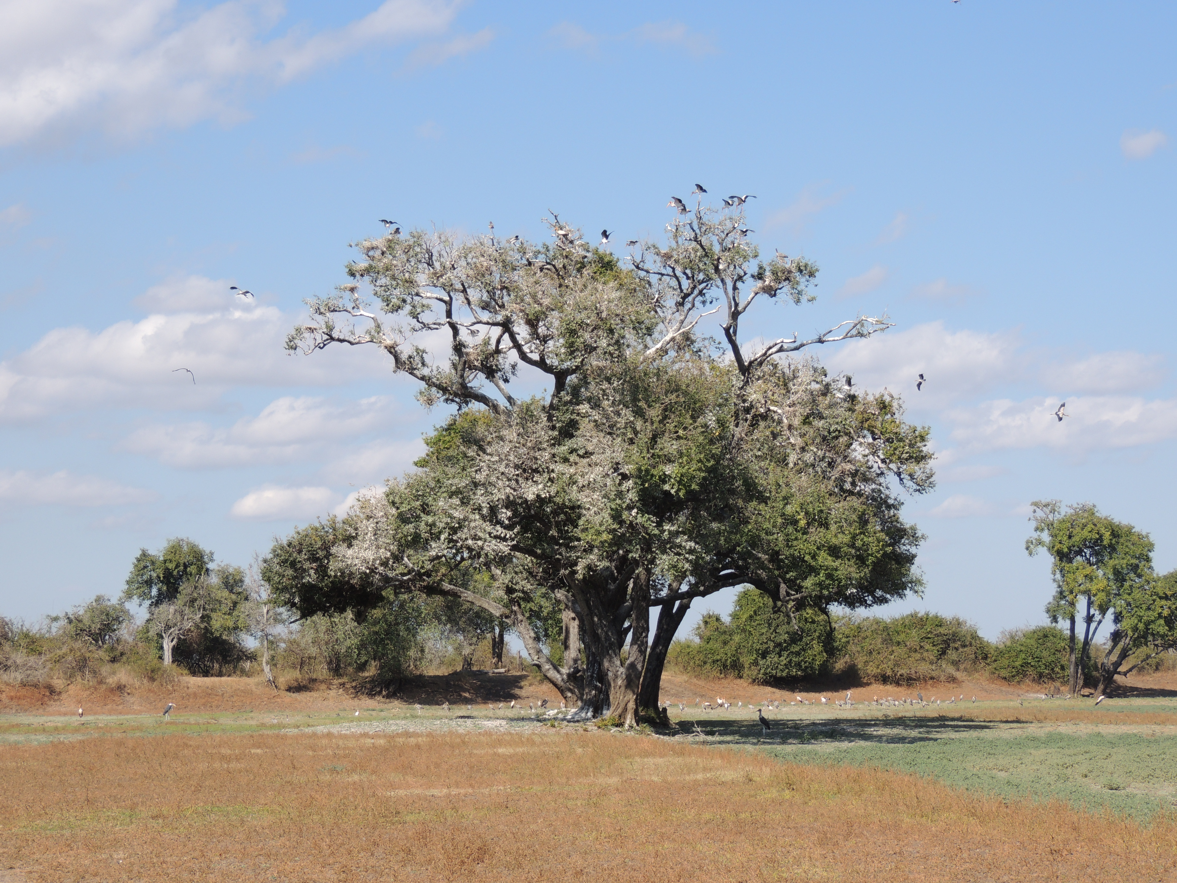 DSCN3262.JPG