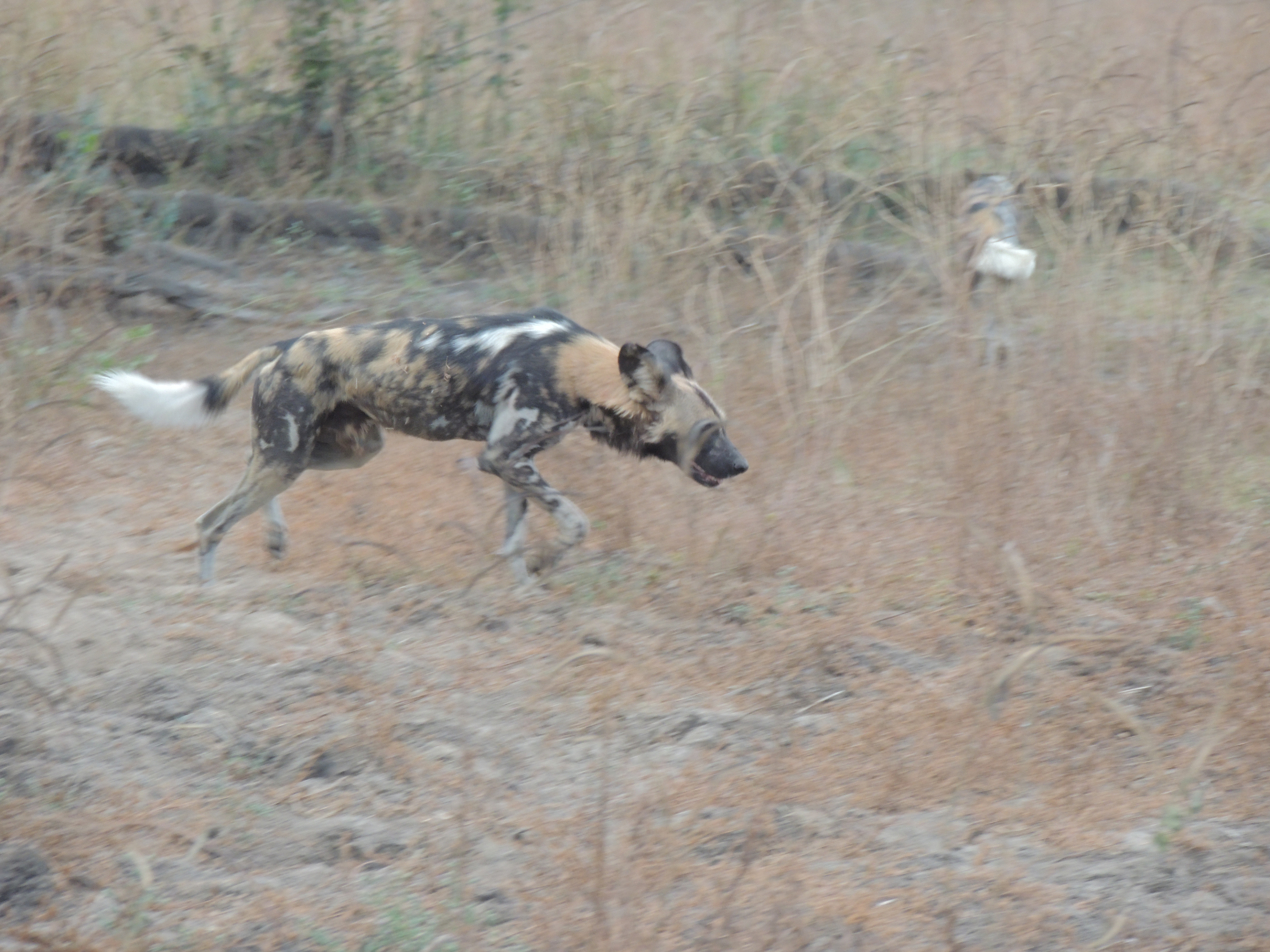 DSCN3271.JPG
