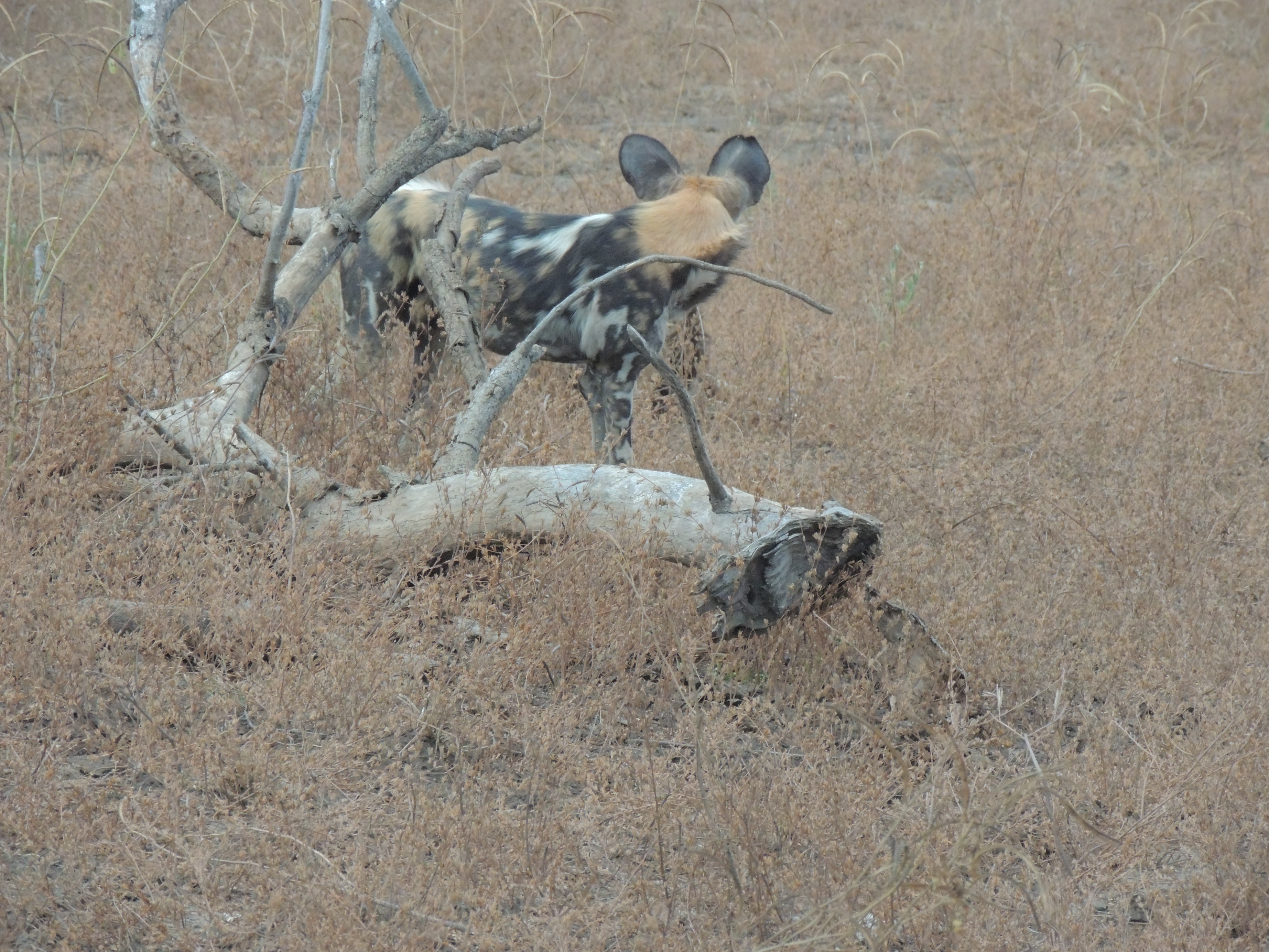 DSCN3273.JPG