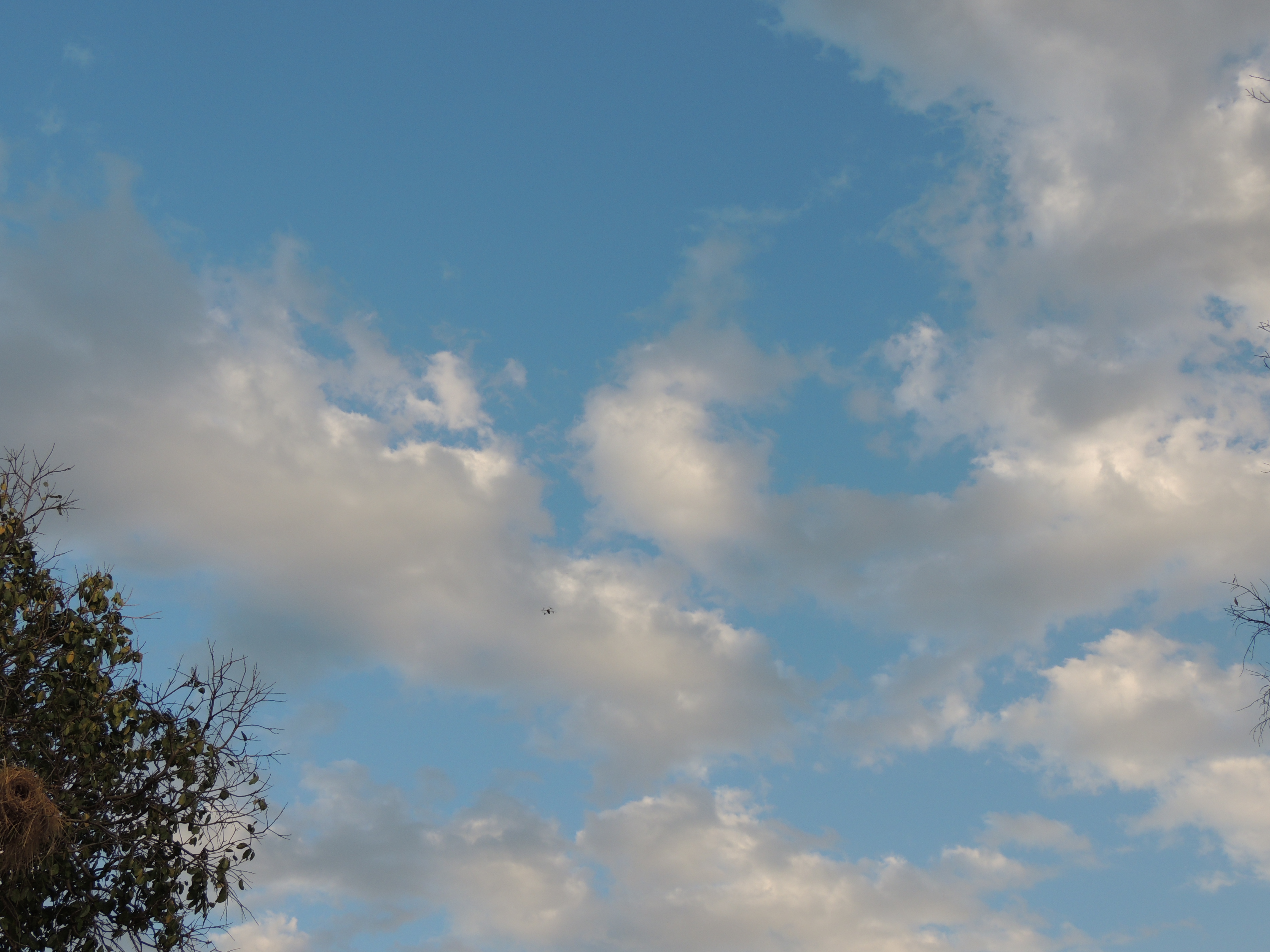 DSCN3274.JPG
