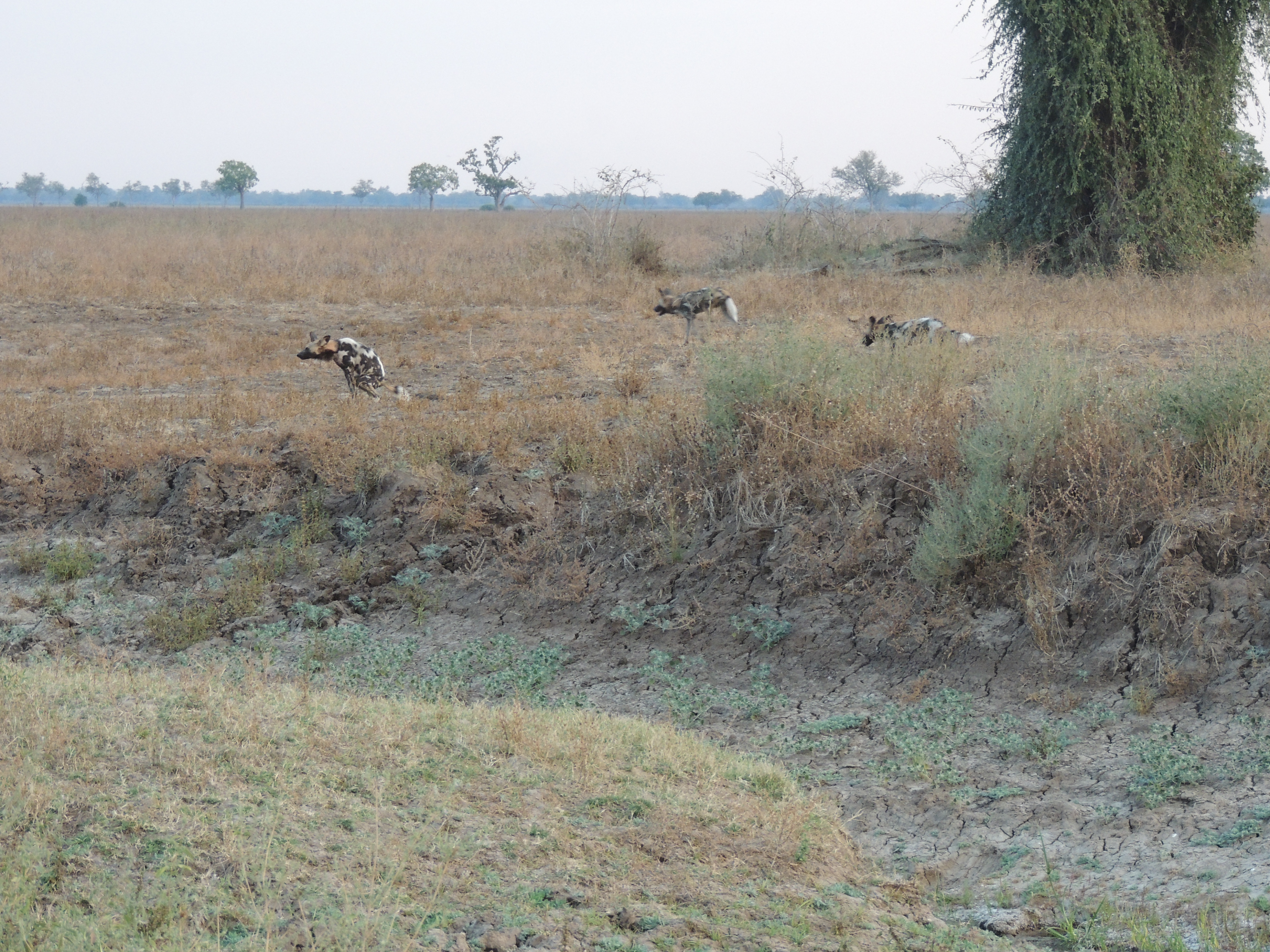 DSCN3278.JPG