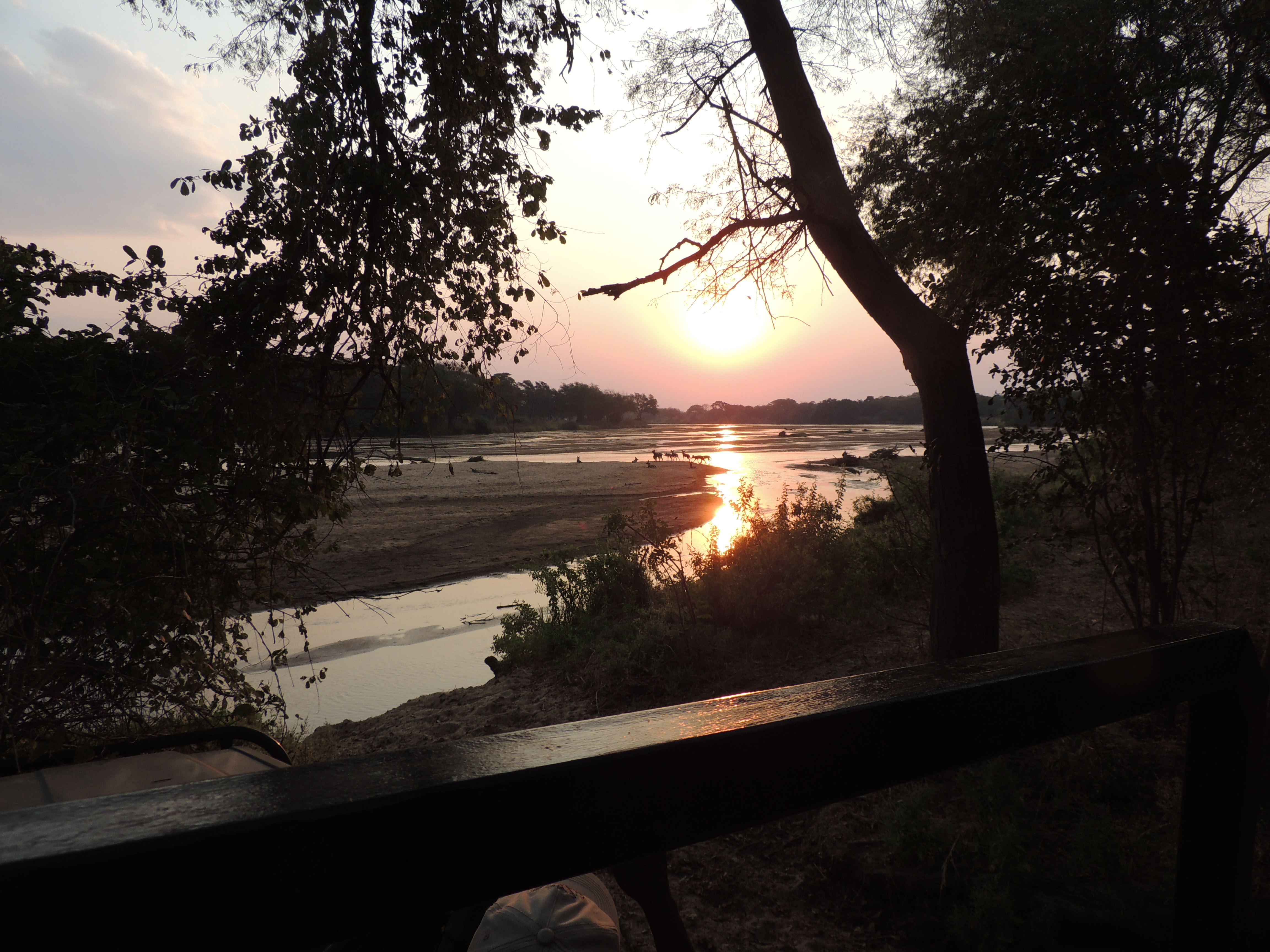 DSCN3299.JPG