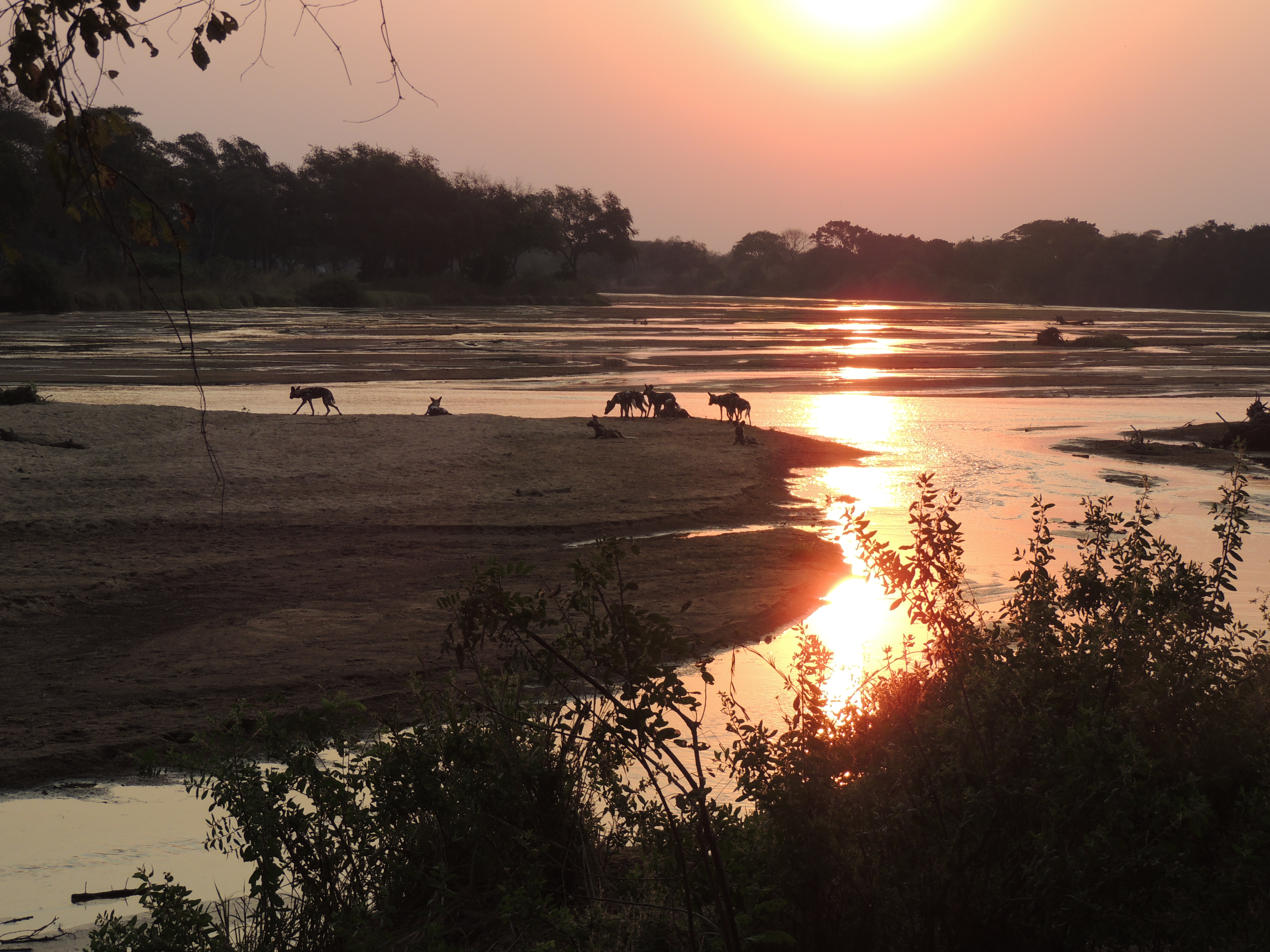 DSCN3300.JPG