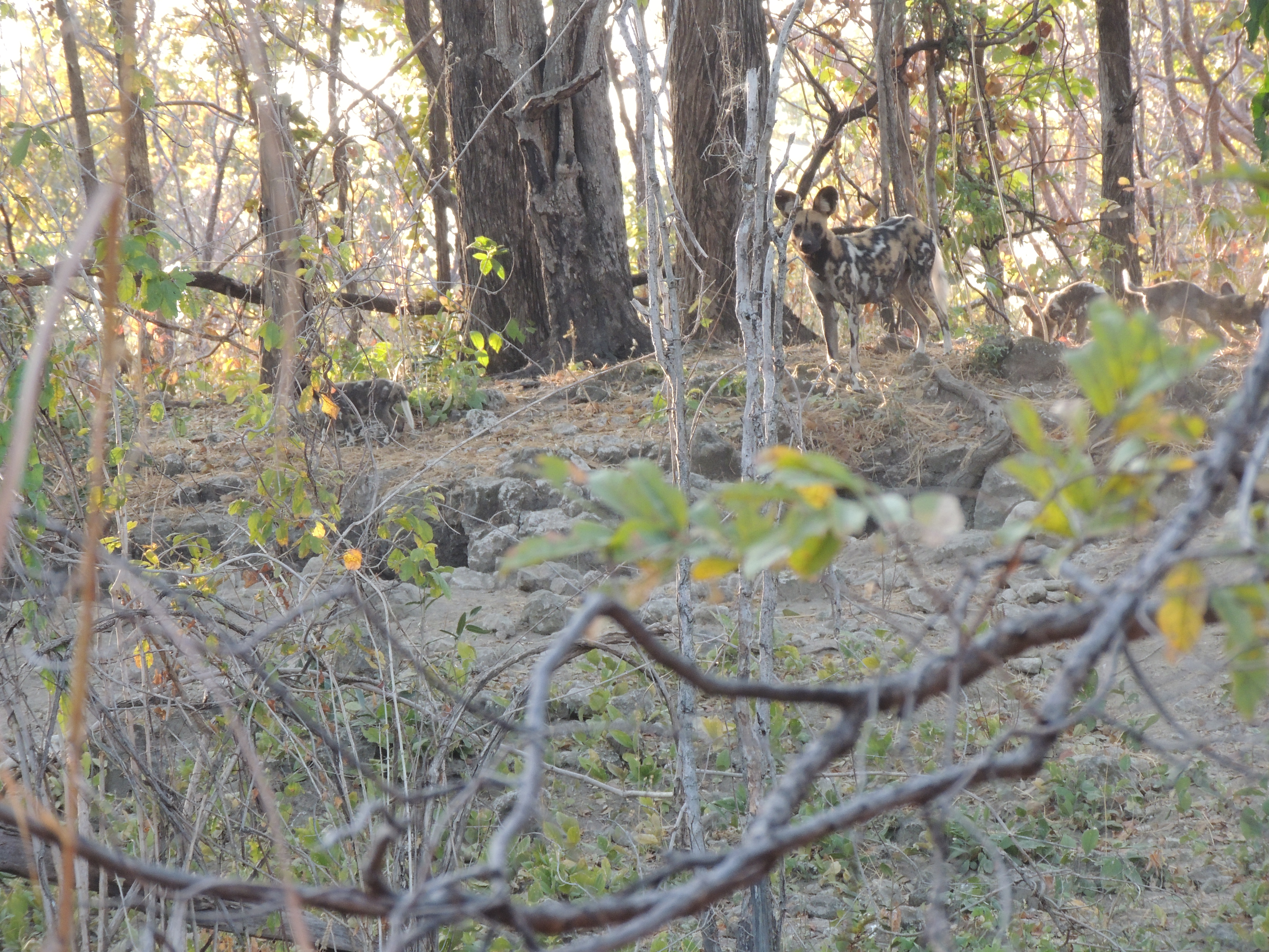 DSCN3308.JPG