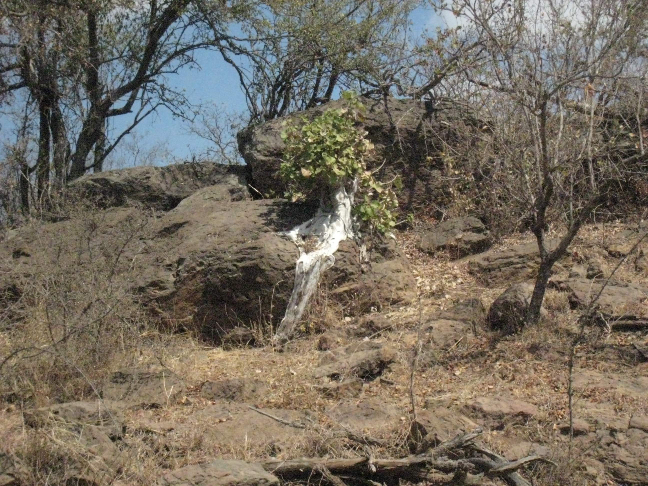 IMG_1084.JPG